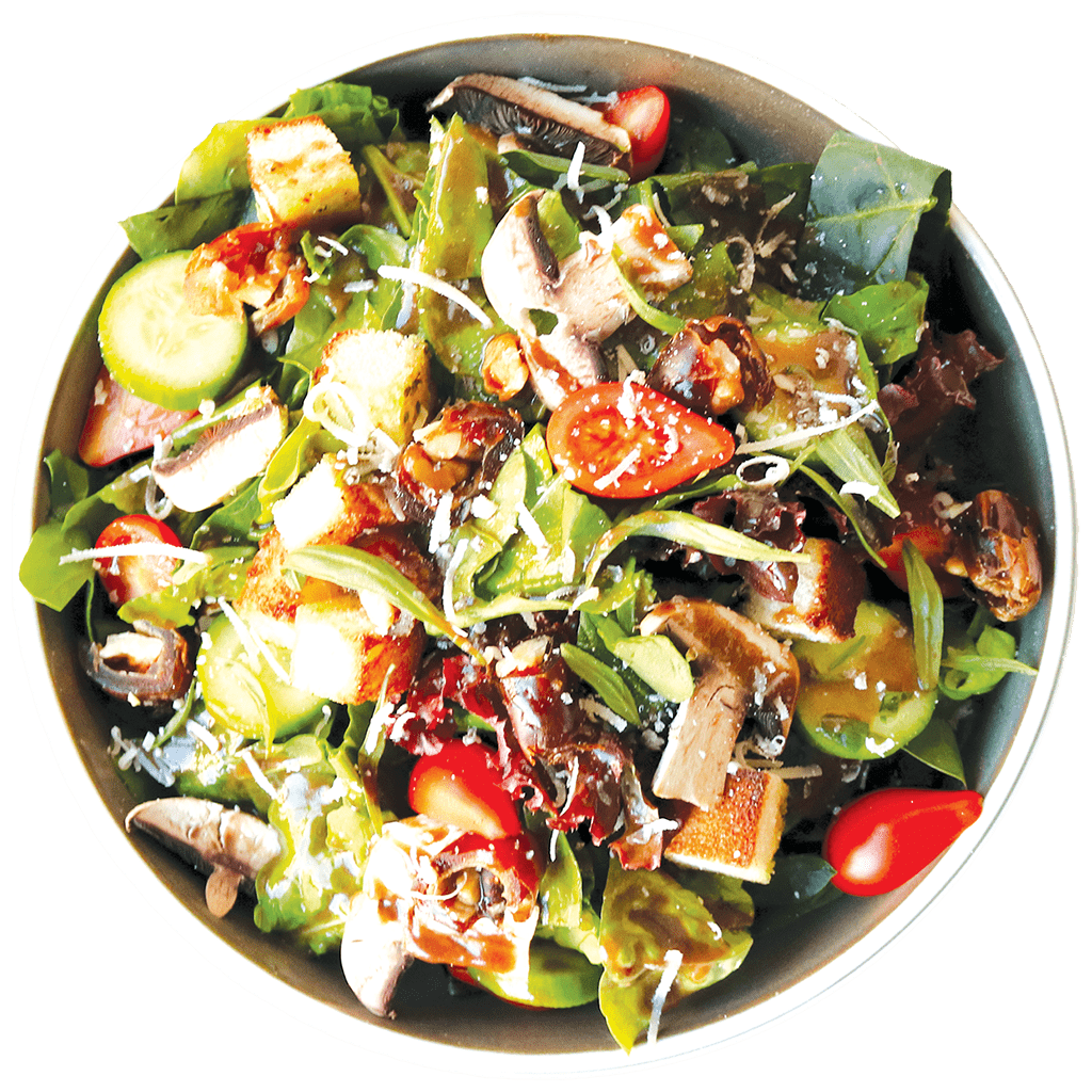 انسلاتا ميستا